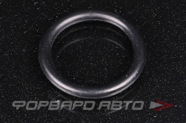NOK  OR03.53_023.39 Кольцо уплотнительное маслостойкое 23,4*3,5 23 39*3 53 23*3 5 23 5*3 5 172888