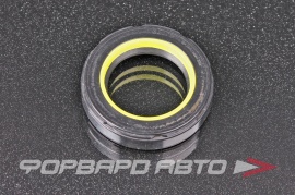 TCS  F00270X Сальник высокого давления 27*42*8,5 7V2 P03856 214711