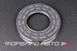 TCS  P17804 Сальник 65*120*10 (б/н) рез. TC 107959N 107959 107959S 107959 107959V 107959 211102
