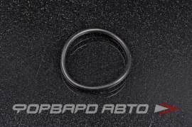 NOK  OR02.50_030.00 Кольцо уплотнительное маслостойкое 30*2,5 33301 B2183 80057 65.965010010 06.563312164 9672224030 91307PR8005 01M323255 N90989501 N90989501 RR328 303525 RINGOL023PCS10 JF46400P OR02220 HR0403 HR0403C O02821 432N10027Z 160 29067