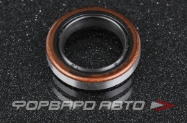 NOK  ADD714B Сальник высокого давления 20*30*6 (б/н) мет. AD0982M0 9009915028 228271040 2254464740 0960390040 0960390080 15109400 2941970010 01851