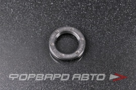 NAK TTi 16243 Сальник 16*24*3 (б/н) рез.  181690