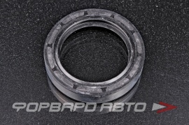 РОССИЯ  45X62X12ТС Сальник 45*62*12 (ТС)  138415