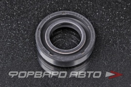 TTO  C585 Сальник 20*35*8 (б/н) рез. DC две пружины P06099 HAZ1124 HA1124 435N10030Z 147635