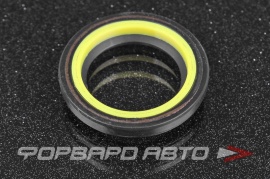 TCS  F00724X Сальник высокого давления 24,5*35*4/6,5 4V2 P04916 45476