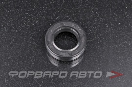 NQK  17*28*7TC Сальник 17*28*7 (TC)  234963