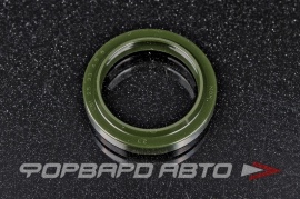 NOK  FQ0018C Манжет фторопласт 25*33*4,5*6  74449