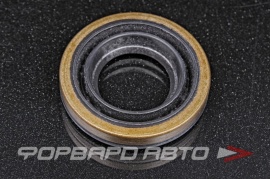NOK  AE1734E Сальник 30*55*10 (б/н) мет. AE1734E0 07686