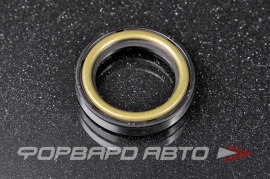 HYUNDAI / KIA  4313439012 Сальник 25*35,2*7  140679