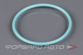 VAG  WHT010080 Кольцо уплотнительное WHT010080 231132