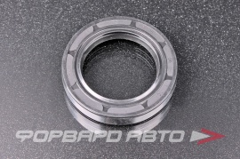 NQK  38*56*10TC Сальник 38*56*10 (TC) 241701210 234170