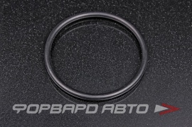 NOK  OR04.00_060.00 Кольцо уплотнительное маслостойкое 60*4 1434351 51756