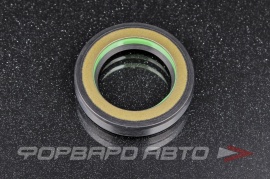 TCS  F01803 Сальник высокого давления 24,97*37,54*7 7V2 P07070 01020068 01020068B 196923