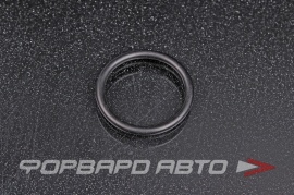 NOK  OR02.50_022.00 Кольцо уплотнительное маслостойкое 22*2,5 HR0418 HR0418C 9676124022 4058941 A0014312160 A0129972848 A0239978748 1400471 15031180 244828 1400471 386623 79102554 1745698 339132 785602R1 1289793 1319775 81.965030034 81.9650 29070