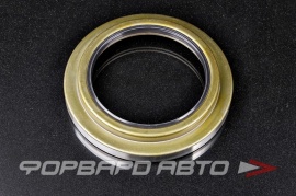 NOK  BA4230E Сальник 118*174*16/28 (б/н) мет. 1096253500 K448 NJ939 87443