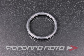 NOK  OR06.00_050.00 Кольцо уплотнительное маслостойкое 50*6 06.56936.2225 06.569362225 06569362225 20405535 01180295 20757801 138718