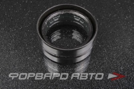 NISSAN  33114AD300 Сальник 38*50*22  22870