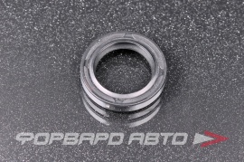 NQK  19*27*5TC Сальник 19*27*5 (TC)  234970