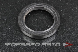 TTO  F2122 Сальник 48*65*9 (HTB2R)  08494