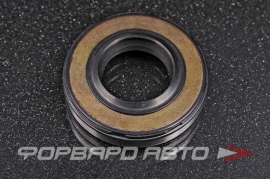 TCS  F00140 Сальник высокого давления 19*37*6,5/8 1РМ P03566 90100132 HAZ0242CS HA0242 410N10092Z 66996