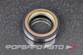 TCS  F00839 Сальник высокого давления 27*40*8,5 7V1 P03550 XP0349E0F00698X 240048