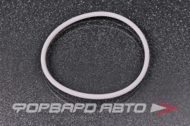 BMW  11667509080 Кольца уплотнительные  77356