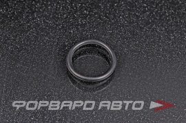 NOK  OR02.00_015.00 Кольцо уплотнительное маслостойкое 15*2 06.563310238 06.563310438 55555984 91308RCAA01 91333PNC006 8972874021 8972874022 6338482 A0139979845 WHT002789 WHT006114 077121437 16502300 21683 03400009 AL300156 RR199 793.220 07 28977