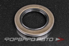 NOK  BD3856E0 Сальник 48*73*7 (б/н) мет. 9031148013 BD3856F0 AEE921A0 95GDY48730707X T1209 19026748B 173803 33105536 SO0595 01010354 HWS21107 50112