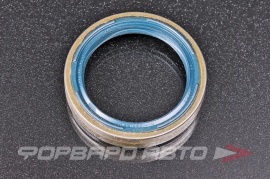 CORTECO  01017573B Сальник 48*64*12 BH A0159971447 01019283B A0199978847 293.400 01019283B 66810