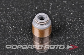 VICTOR REINZ  704061600 Колпачок маслосъемный 13207ED000 13207CJ40A 704061600 13207CJ40A XV0160E0 704061600 MV231 12028900 904.900 MV233 241741