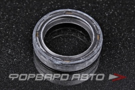 NOK  BEE257A Сальник 25*34*7 (б/н) рез. TC  50158