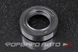 NOK  AP1130F Сальник высокого давления 22*36*10  87391