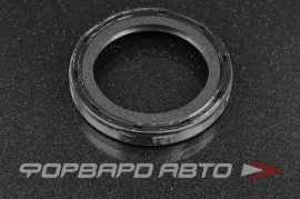 NOK  BH4171E Сальник 60*81*11 (RH) рез. TF2010602 BH4171E0 BH4171F0 M4639 JF26735 04010057 09876