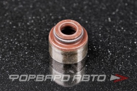 CORTECO  19018203 Колпачок маслосъемный 0KL0110155 B66010155 KL0110155 9091302062 9091302086 9091302088 49472003 12007901 707.180 864.110 P9318500 PA425 705426100 BV1883H1 BVV597A20 BVV597A0 49308