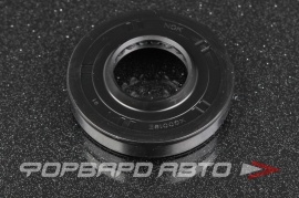 NISSAN  481253U010 Сальник высокого давления 20*43*7/10 XG0019E0 481253U010 P17673 F01920A 48320