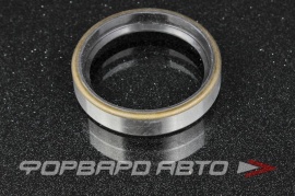 NOK  BB1669E Сальник 40*49*10 (б/н) мет. 43252T9300 BB1669F0 BB1669E0 N2193 NJ845 02010212 06608