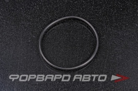 NOK  OR02.00_051.00 Кольцо уплотнительное маслостойкое 51*2 HOR0654 432N10287Z A50143 51*55*2 51x55x2 29022