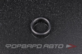 VAG  WHT008226 Кольцо уплотнительное N91027901 225817