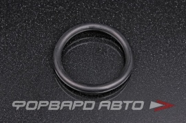 NOK  OR05.00_038.00 Кольцо уплотнительное маслостойкое 38*5 48222509 48729700 14400197 03804850 38*48*5 38x48x5 29281