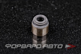 NOK  BV3006H0 Колпачок маслосъемный 1320784A00 13207D4200 13207D4201 MV216 1320770J05 1320789J00 JF064351 KHV216 12015362 12009100 12012100 1630018 705273810 KOVS070 PA874 N30504 012.410 19020004 KOVS025 022.190 CV0808 EV9004 19020623 20500 129962