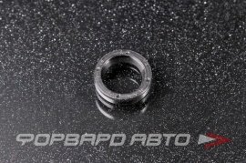 NAK TTi 15256 Сальник 10*14*3 (б/н) рез.  181684