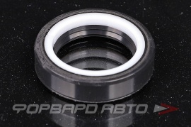 CORTECO  01026491B Сальник высокого давления 25*36*8 A0009978249 HAZ0901CS HA0901 F00423 410N10386Z 66807