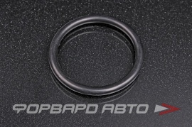 NOK  OR05.00_044.00 Кольцо уплотнительное маслостойкое 44*5 A50119 04405450 44*54*5 44x54x5 29285