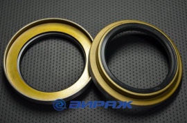 PAYEN  NJ571 Сальник 80*113*12/22 (б/н) мет.  87351