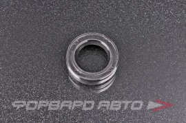 MITSUBISHI  MB896698 Сальник 16*26*7 806716070 161252