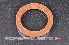 ROSTECO  20599 Сальник распредвала Nexia, Lanos, Lacetti, Aveo, Rezzo, Evanda 5094005604;94580413;6078801;1316639;1438224;1494440;6723376;1614994;1669254;6155579;6165498;6176470;OS5342;757497;15031987B;15019100;AMDSG251;815110920;815110930; 213262