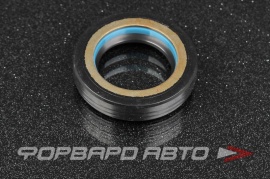 NOK  BP6046E Сальник высокого давления 25,5*39,5*8,5 9031025030 9031025033 BP3761E0 BP6046E0 HAZ0657 HA0657 F00524 410N10521Z 05154