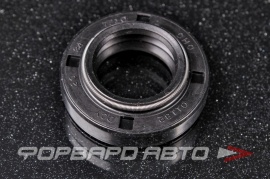 CHO  01182 Сальник стойки 20*34*7/10  87301