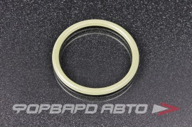 VAG  WHT001386 Кольцо уплотнительное  203287