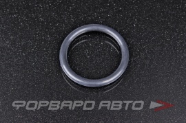 NOK  CO5120N0 Кольцо уплотнительное системы охлаждения 31,2*4,1 91314PH7003 228205